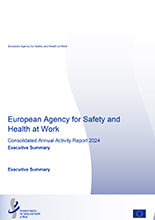 cover page of the summary of the annual activity report 2024