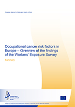 Cover of Overview of the findings of the Workers' Exposure Survey summary