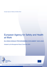 Single Programming Document 2023-2025