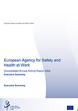 cover page of the summary of the annual activity report 2024