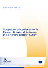 Cover of Overview of the findings of the Workers' Exposure Survey summary