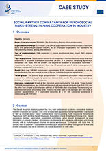 Cover of Social partner consultancy for psychosocial risks: strengthening cooperation in industry