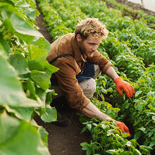 Farmer at work