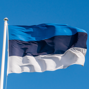 Estonian flag